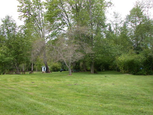 Lower level fireplace